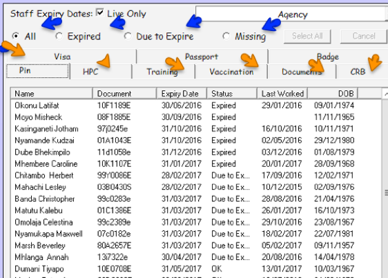 Report View